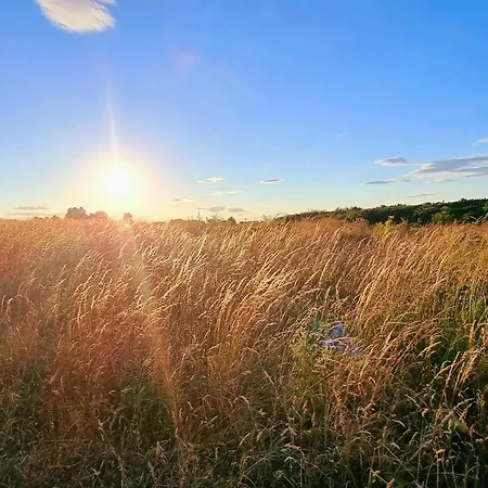 Arthurs Escape בית נופש *